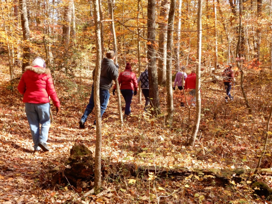 group of people hiking in the woods